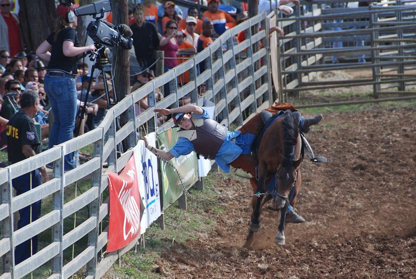 44- Rodeo.JPG